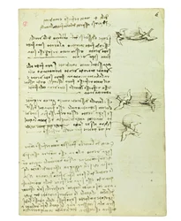 Codex on the Flight of Birds, Folio 6 Recto